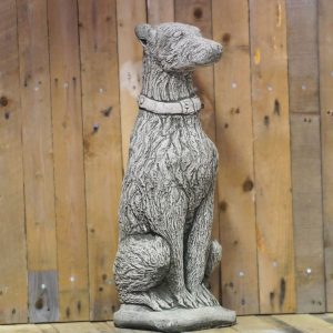 Lurcher / Deerhound - Large